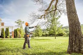 How Our Tree Care Process Works  in  Rusk, TX