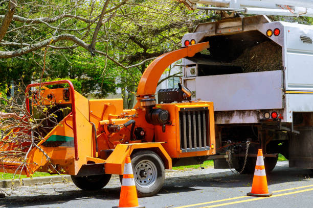 Professional Tree Care  in Rusk, TX